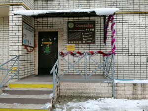 Созвездие, дом детского творчества