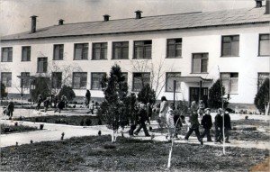 Ивушка, детский сад №75