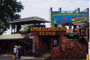 Ферма крокодилов и аллигаторов