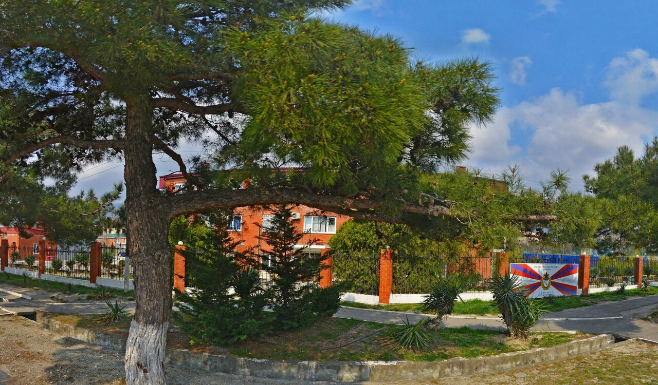 ЦСКА, спортивный клуб