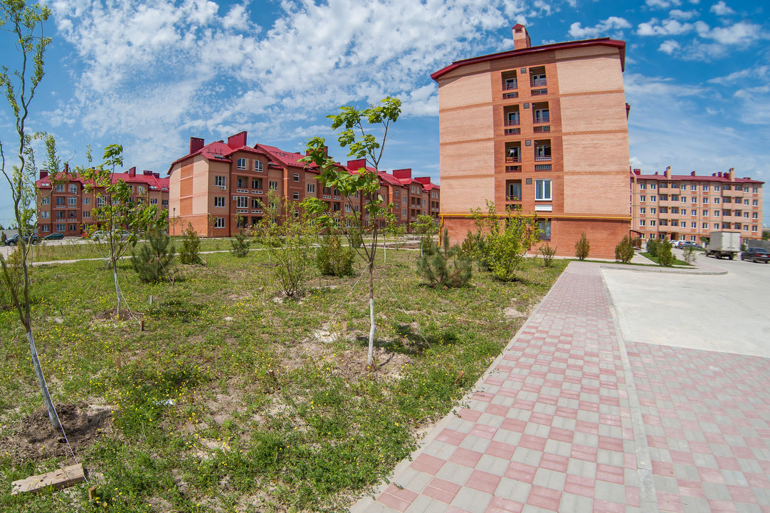 Новая Пальмира