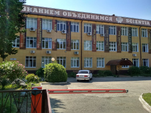 Сочинский институт РУДН