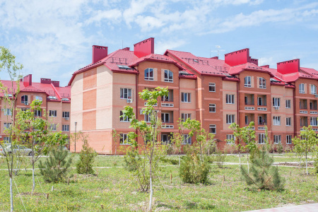 Новая Пальмира