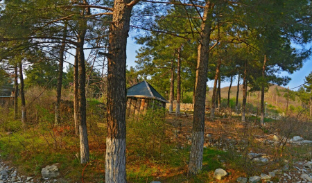 Зов Джунглей, зоопарк