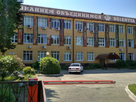 Сочинский институт РУДН