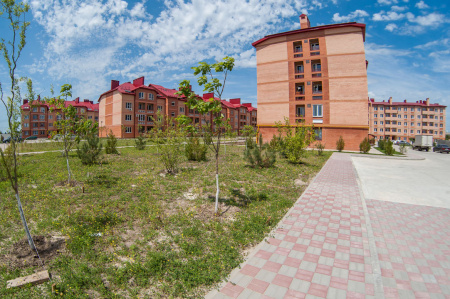 Новая Пальмира